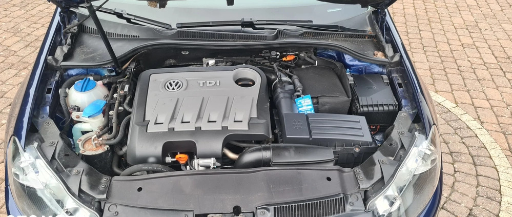 Volkswagen Golf cena 27999 przebieg: 176000, rok produkcji 2010 z Kolbuszowa małe 92